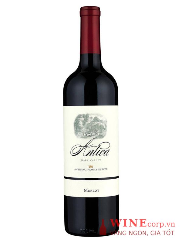 Rượu vang Antica Merlot
