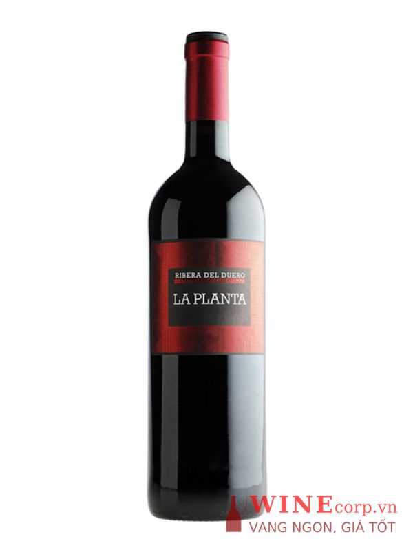 Rượu vang Arzuaga La Planta Ribera del Duero