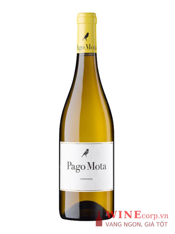 Rượu vang Arzuaga Pago Mota Chardonnay