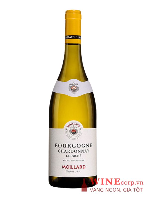 Rượu vang Moillard Bourgogne Chardonnay