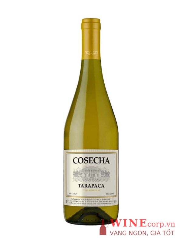 Rượu vang Tarapaca Cosecha Chardonnay