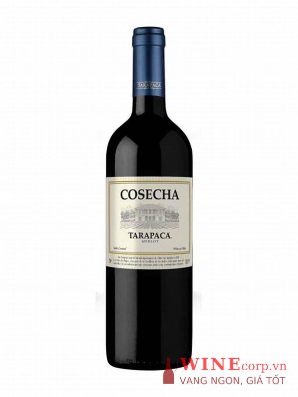 Rượu vang Tarapaca Cosecha Merlot