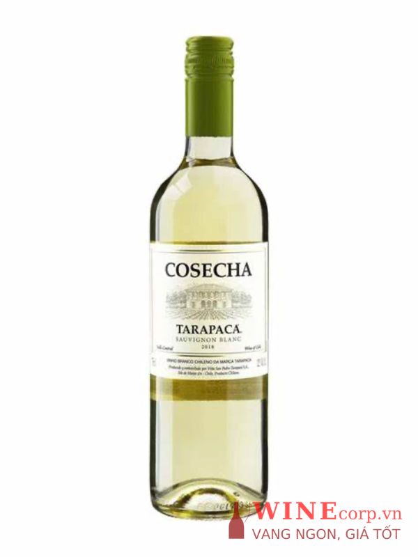 Rượu vang Tarapaca Cosecha Sauvignon Blanc