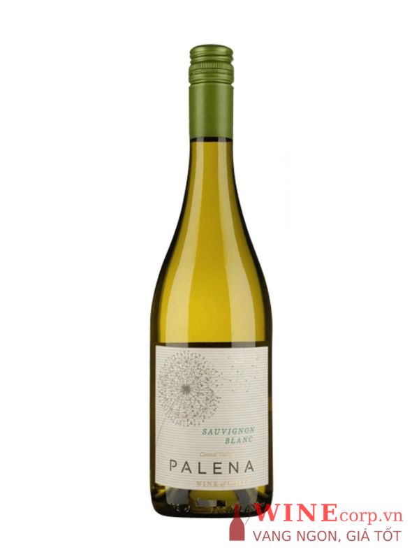 Rượu vang Palena Sauvignon Blanc