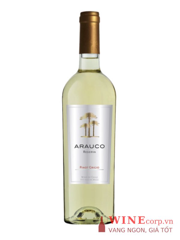 Rượu vang Arauco Sauvignon Blanc