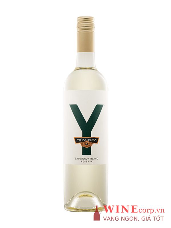 Rượu vang Y Reserva Sauvignon Blanc