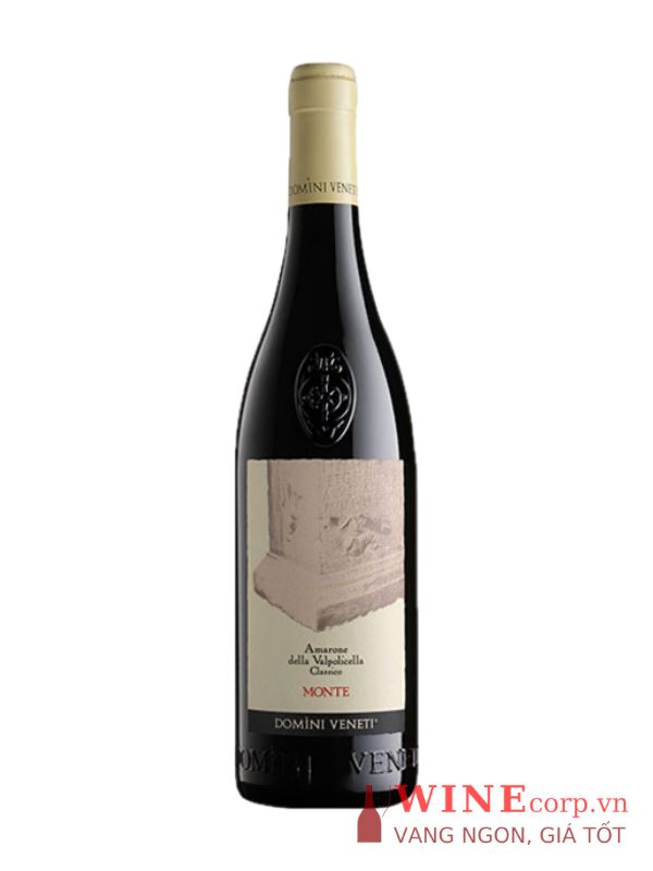 Rượu vang Domini Veneti Amarone Monte