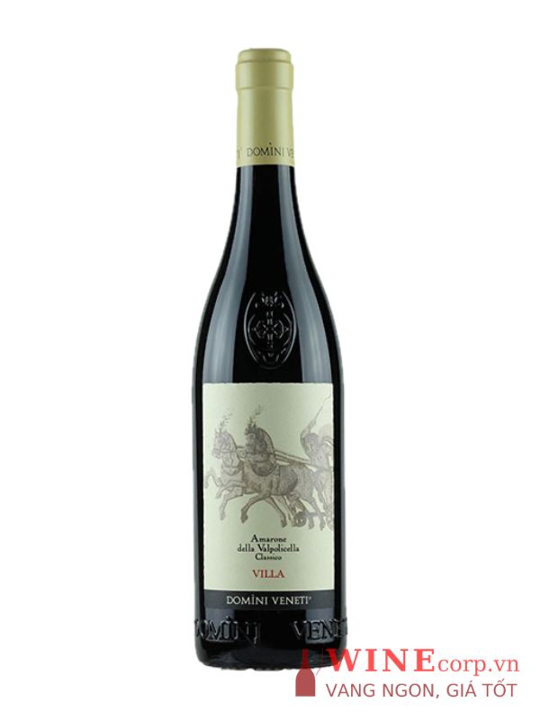 Rượu vang Domini Veneti Amarone Villa