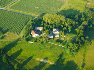 Château Haut Bazignan Bordeaux Supérieur