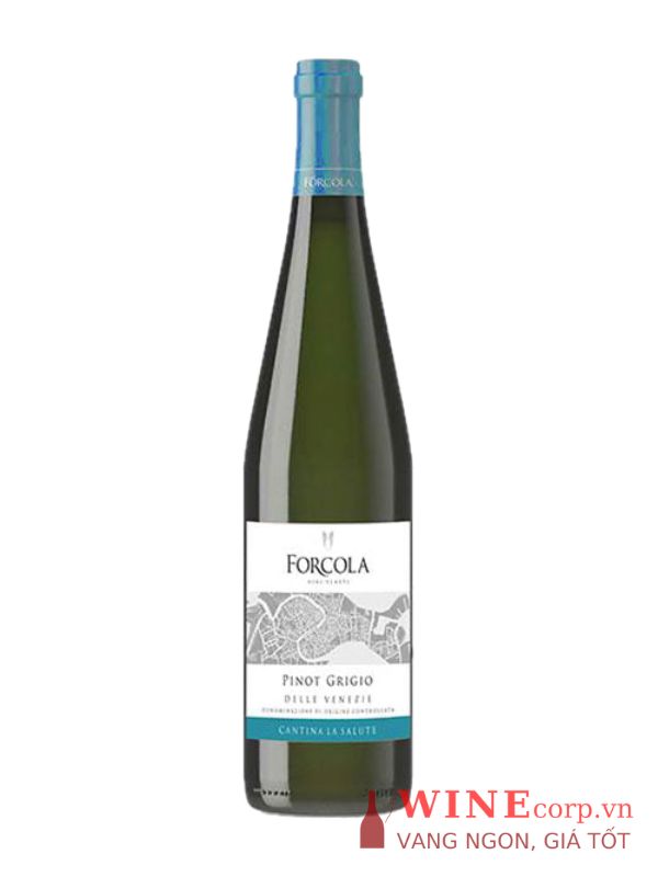 Rượu vang Forcola Pinot Grigio