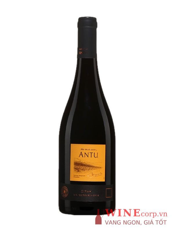 Rượu Vang Antu Shiraz Montgras
